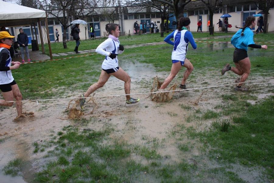 Una_fase_del_Cross_studentesco_regionale_2016_a_Faenza.jpg