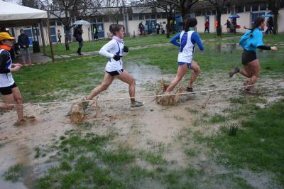 Una Fase Del Cross Studentesco Regionale 2016 A Faenza